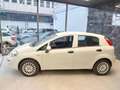 Fiat Punto 1.4 8V GPL Easypower Young Bianco - thumbnail 5