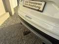 Ford Kuga 1,5 TDCi Titanium ''RFK*NAVI*AHK'' Blanc - thumbnail 7