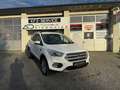 Ford Kuga 1,5 TDCi Titanium ''RFK*NAVI*AHK'' Blanc - thumbnail 1