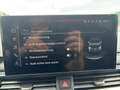 Audi A4 allroad quattro 40 TDI Aut AHK+LED+RADAR+LEDER Grau - thumbnail 14
