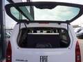 Fiat Doblo Maxi Kombi 130 / Rollstuhlumbau AMF Weiß - thumbnail 6