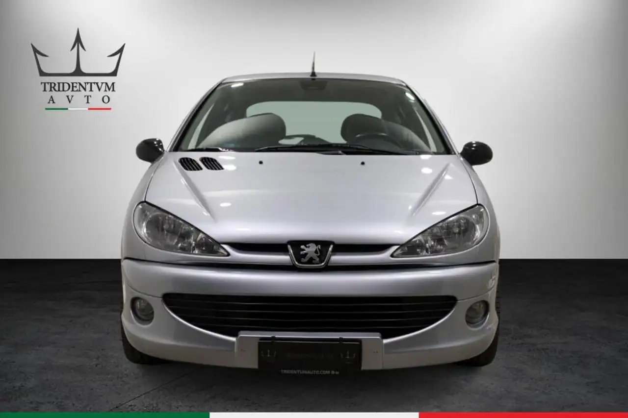Peugeot 206 2.0 GT Wrc, foto 2