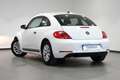 Volkswagen Beetle 1.2 TSI Beetlemanía 105 Blanco - thumbnail 6