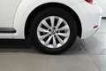 Volkswagen Beetle 1.2 TSI Beetlemanía 105 Blanco - thumbnail 24