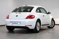 Volkswagen Beetle 1.2 TSI Beetlemanía 105 Blanco - thumbnail 3