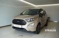 Ford EcoSport 1.0 EcoBoost Beige - thumbnail 1