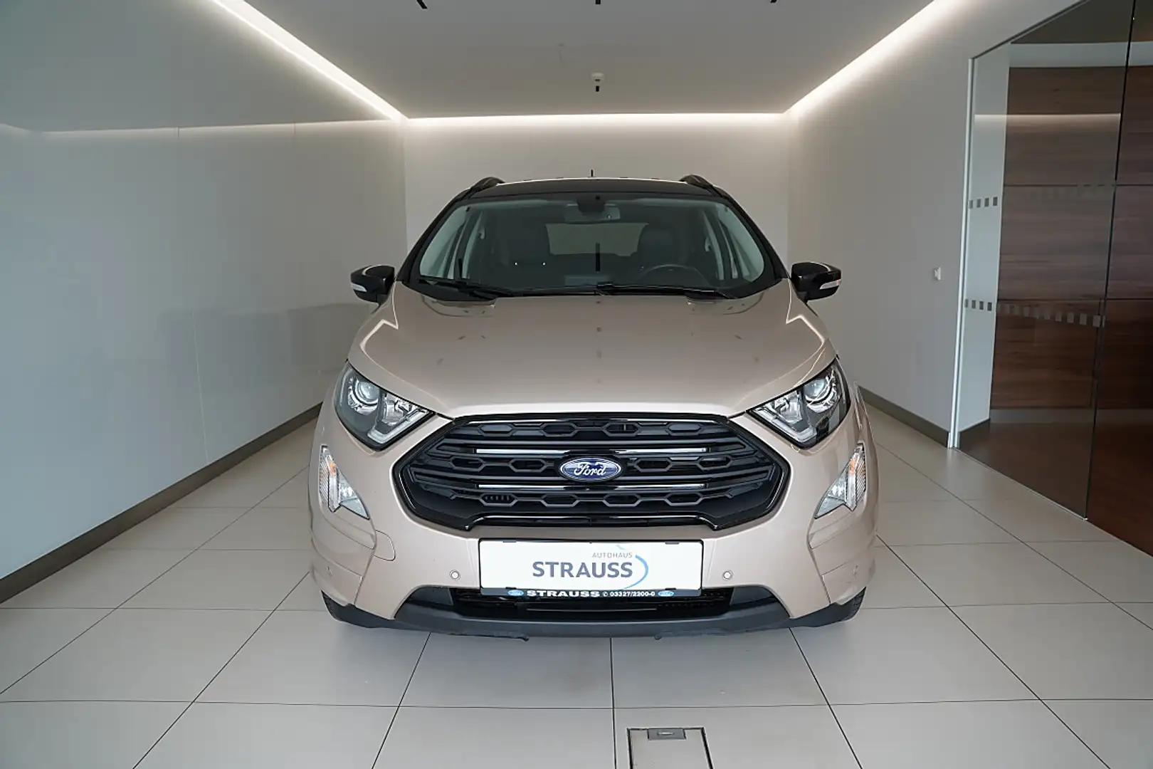 Ford EcoSport 1.0 EcoBoost Beige - 2