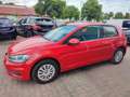 Volkswagen Golf 1.0 TSI Trendline  SITZHEIZG. Rot - thumbnail 7