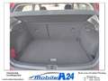 Volkswagen Golf 1.0 TSI Trendline  SITZHEIZG. Rot - thumbnail 13