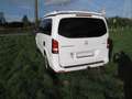 Mercedes-Benz V 250 Marco Polo 4Matic Wit - thumbnail 1
