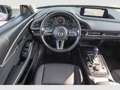 Mazda CX-30 2.0 Homura 2WD ACC,SHZ,LED,PDC Grigio - thumbnail 13