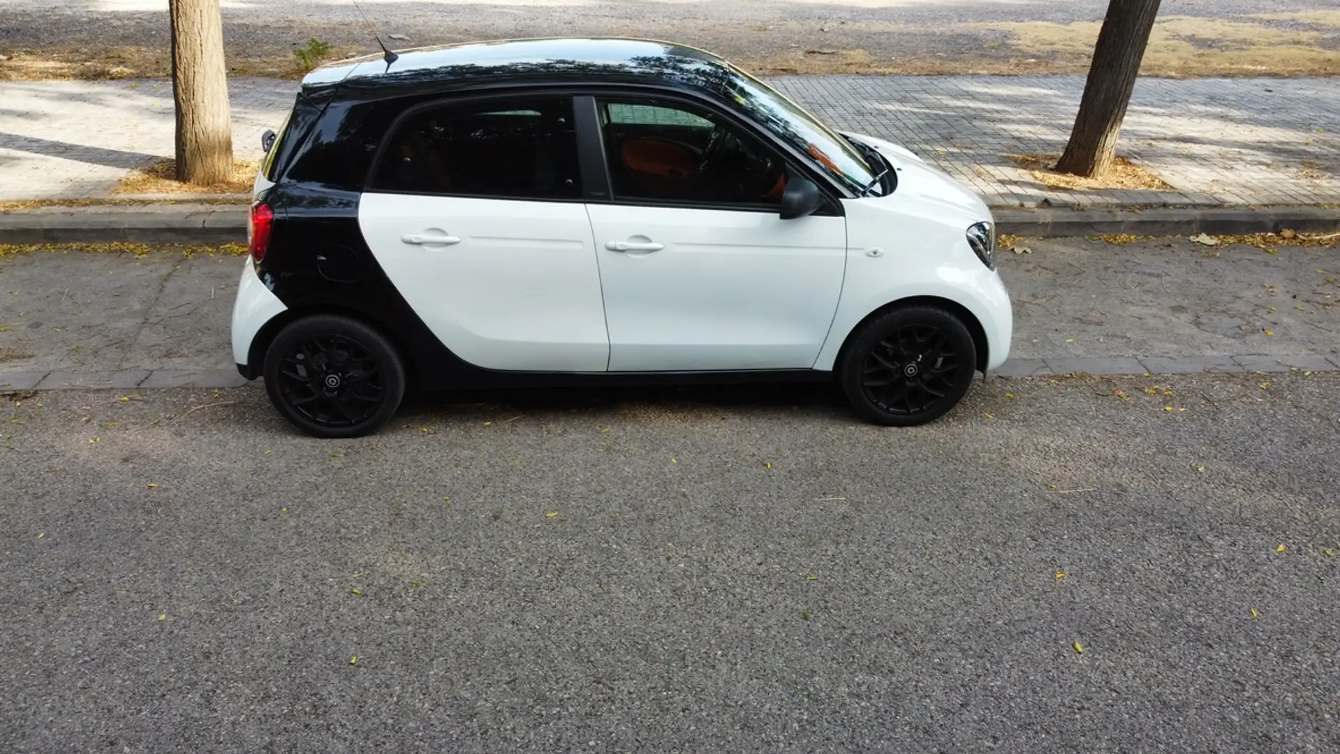 smart forFour Forfour 66 Passion Aut. Passion - 2
