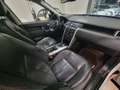 Land Rover Discovery Sport Pure Business edition Premium awd Bianco - thumbnail 15
