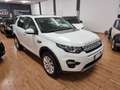 Land Rover Discovery Sport Pure Business edition Premium awd Bianco - thumbnail 5