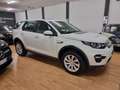 Land Rover Discovery Sport Pure Business edition Premium awd Bianco - thumbnail 6