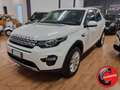 Land Rover Discovery Sport Pure Business edition Premium awd Bianco - thumbnail 1