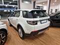 Land Rover Discovery Sport Pure Business edition Premium awd Bianco - thumbnail 9