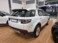 Land Rover Discovery Sport Pure Business edition Premium awd Bianco - thumbnail 7