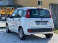 Fiat Panda 1.2 Lounge 69cv E6 - thumbnail 6