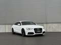 Audi A5 SB 2,0 TDI quattro sport S-tronic Weiß - thumbnail 4