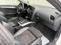 Audi A5 SB 2,0 TDI quattro sport S-tronic Weiß - thumbnail 18