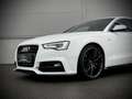 Audi A5 SB 2,0 TDI quattro sport S-tronic Weiß - thumbnail 5