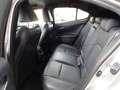 Lexus UX 250h Hybrid Premium Grigio - thumbnail 10