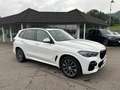 BMW X5 xDrive40d (a M Sportpaket Head-Up HK HiFi Wit - thumbnail 10