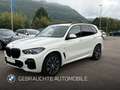 BMW X5 xDrive40d (a M Sportpaket Head-Up HK HiFi Wit - thumbnail 1