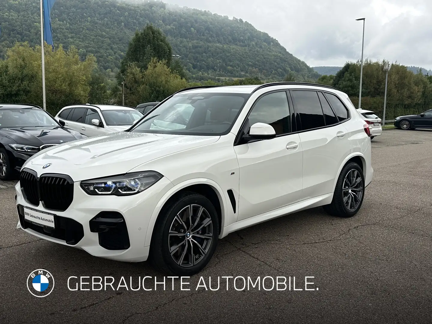 BMW X5 xDrive40d (a M Sportpaket Head-Up HK HiFi Wit - 1