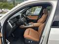 BMW X5 xDrive40d (a M Sportpaket Head-Up HK HiFi Wit - thumbnail 2
