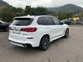 BMW X5 xDrive40d (a M Sportpaket Head-Up HK HiFi Wit - thumbnail 9