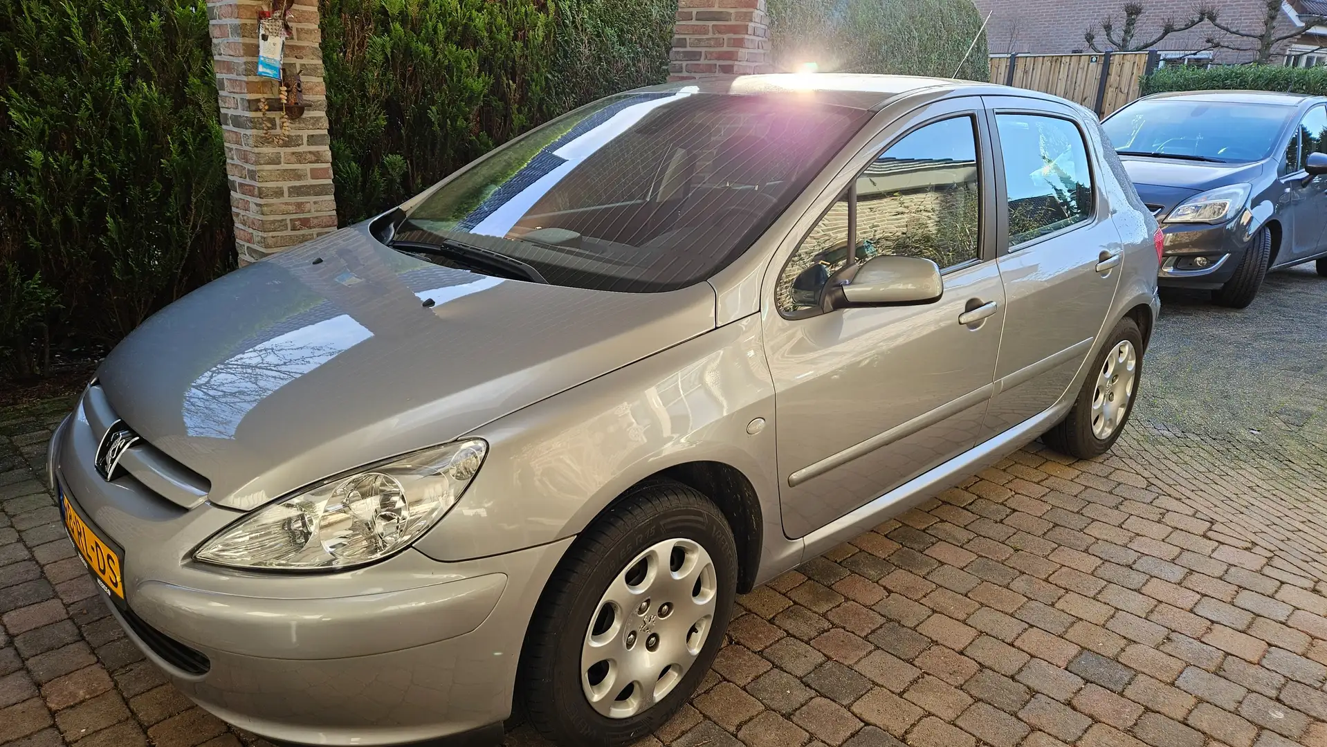 Peugeot 307 307 1.6-16V XT Premium Plateado - 1