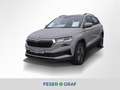 Skoda Karoq 1.5 TSI Tour DSG 360° AHK Matrix Navi Pano Grau - thumbnail 1