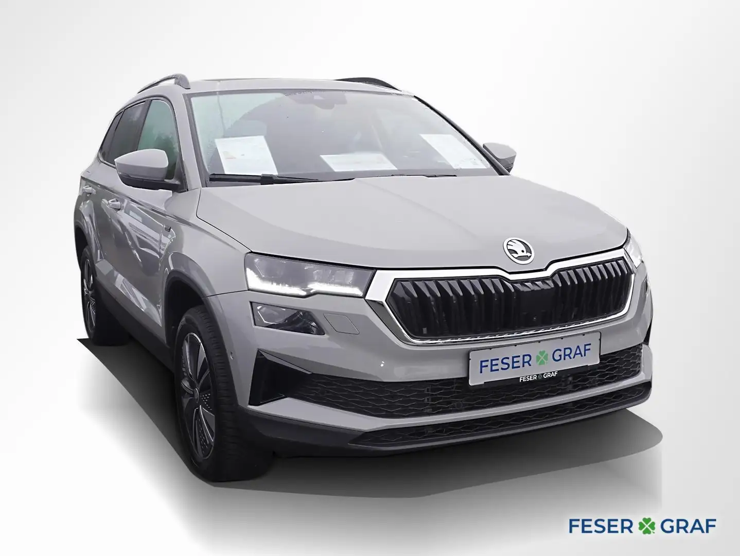 Skoda Karoq 1.5 TSI Tour DSG 360° AHK Matrix Navi Pano Grau - 2