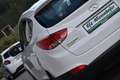 Hyundai iX35 Life 2WD / Pickerl NEU / Weiß - thumbnail 6