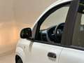Fiat Panda Panda 1.0 FireFly S&S Hybrid Icon Wit - thumbnail 21