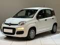 Fiat Panda Panda 1.0 FireFly S&S Hybrid Icon Wit - thumbnail 1