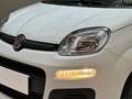 Fiat Panda Panda 1.0 FireFly S&S Hybrid Icon Wit - thumbnail 20