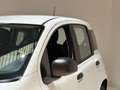 Fiat Panda Panda 1.0 FireFly S&S Hybrid Icon Wit - thumbnail 22