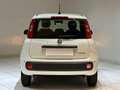 Fiat Panda Panda 1.0 FireFly S&S Hybrid Icon Wit - thumbnail 4