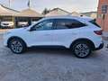 Ford Kuga Kuga 1.5 EcoBlue 120 CV aut. 2WD Titanium Blanc - thumbnail 4