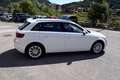Audi A3 1.6TDI 110cv SPB S-Tronic Business Clean Diesel Bianco - thumbnail 7