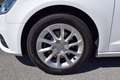 Audi A3 1.6TDI 110cv SPB S-Tronic Business Clean Diesel Bianco - thumbnail 9