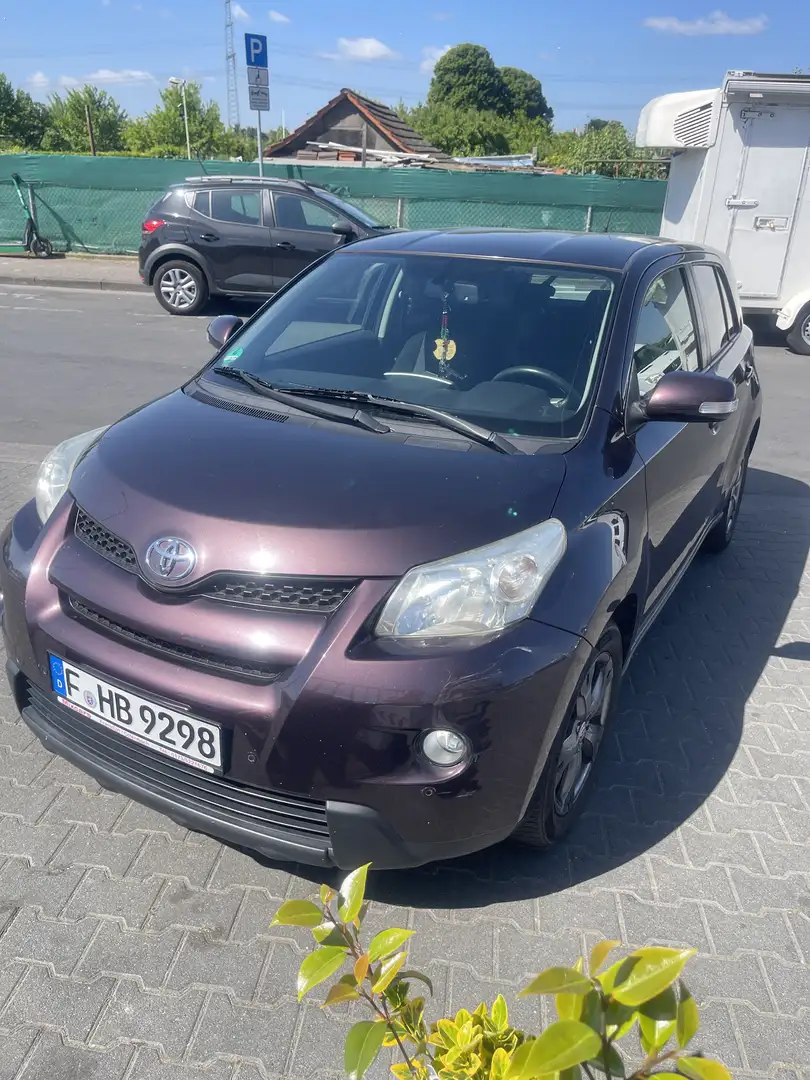 Toyota Urban Cruiser Paars - 2