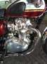Kawasaki W 800 Rood - thumbnail 5