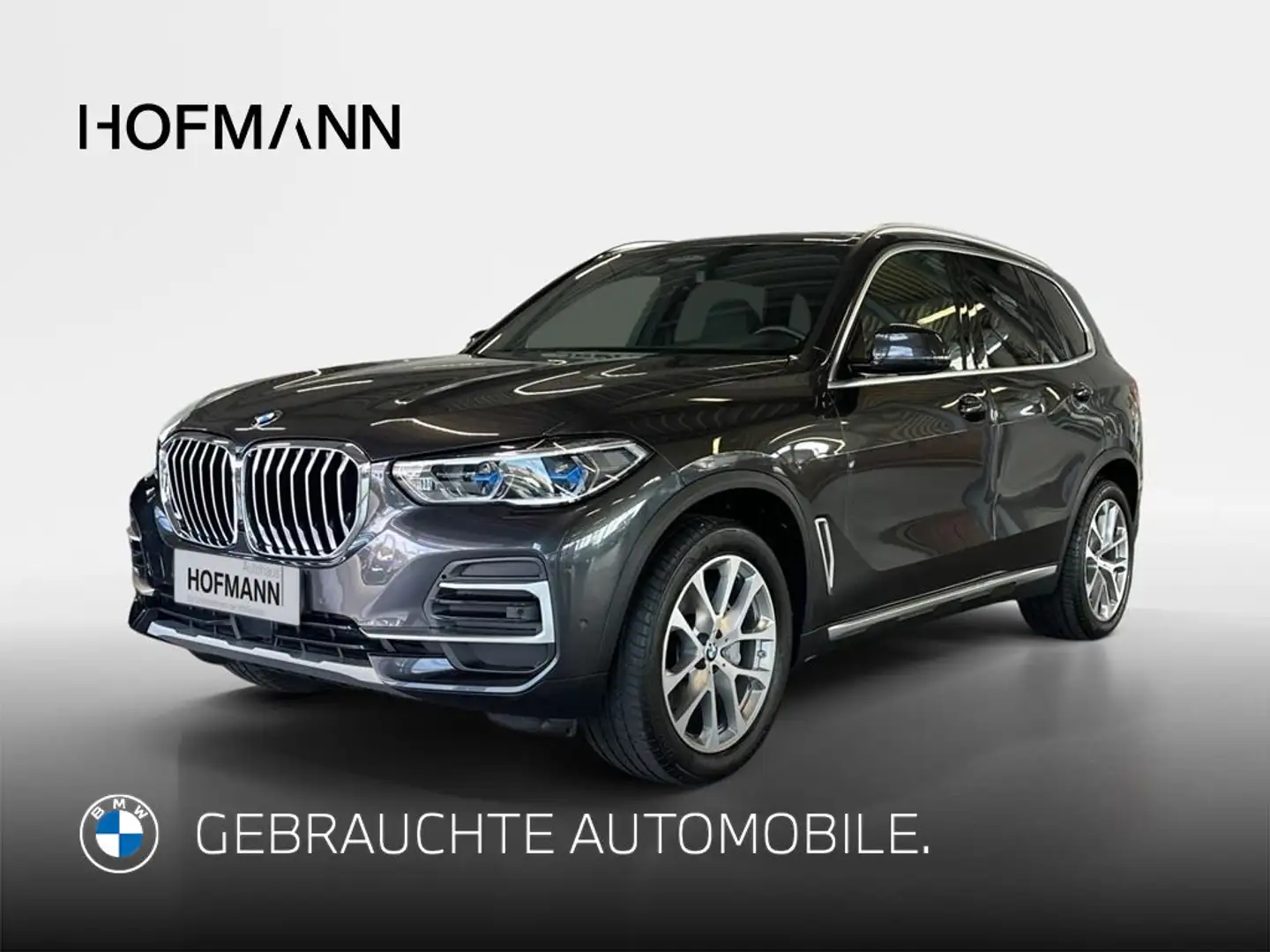 BMW X5 xLine Grau - 1