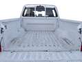 Ford Ranger Pickup 2.0 Ecoblue Doble Cabina XL 4x4 125 Blanco - thumbnail 13