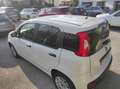 Fiat Panda Panda III 2016 1.2 Easy s Blanc - thumbnail 3