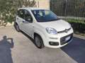 Fiat Panda Panda III 2016 1.2 Easy s Blanc - thumbnail 1